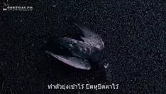 Play Theendofthefucworld-beaterearthss01ep03