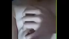 播放 凸轮释放记录 www.hotmissybunny rabbit.tk 上的大取消山雀