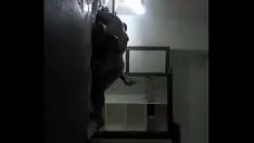 Reproducir cinta de video sexual