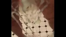 Oynat aynayı hayal et