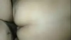 تشغيل قطة لطيفة ورطبة