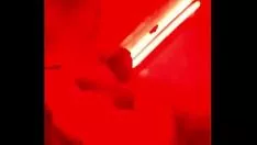 চালান রিকো 69 এবং কুকুরছানা