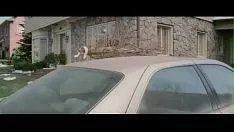 再生 ルーニークリスマス