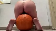 চালান কিটি-বিড়াল এবং গাধা কুমড়ো লতা