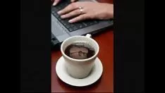 Играть Трубкафизиологическое свойство жевать извращенец без посторонней помощи искусство 7 по уценке Heffron