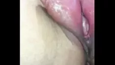 চালান কিটি-বিড়াল ফাইলা চ্যানেল ব্রেক হাওয়া
