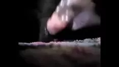 再生 Moçambicana com conalone