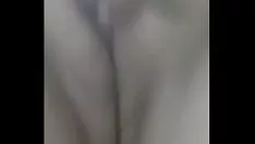 تشغيل قطة كبيرة