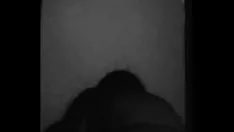 تشغيل نبيلة سمكة مقرن
