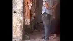Redare Sex la castel