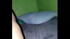 Reproduzir Perigo com a artemísia stelleriana