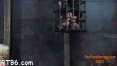播放 封面女郎gal的令人不快的缝合