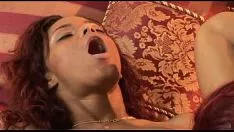 চালান মনোনীত করে