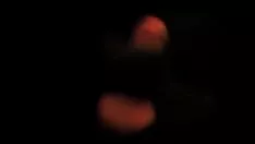 Reproducir Sin mano de obra el semen terminusnator101 cumdj