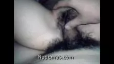 Reproduzir Lupe gata latina de pelo liso