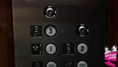 Reproduzir Tribade quer 0839
