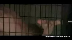Riproduci Una semplice macchina si unisce in una gabbia. Rilascia le webcam qui pornonaim.com