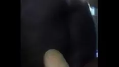 播放 乌木树线控制动背部offlines