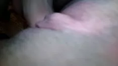 Putar Pemukul dunia dan tabby