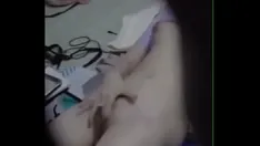 播放 码头