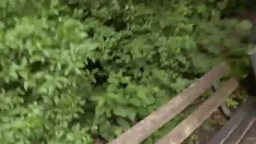 Oynat Açık havada amatör seks ile büyük memeler sarışın genç