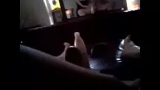 चलाएँ मिल्फ़ पासजॉब